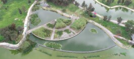 CWetlandsData